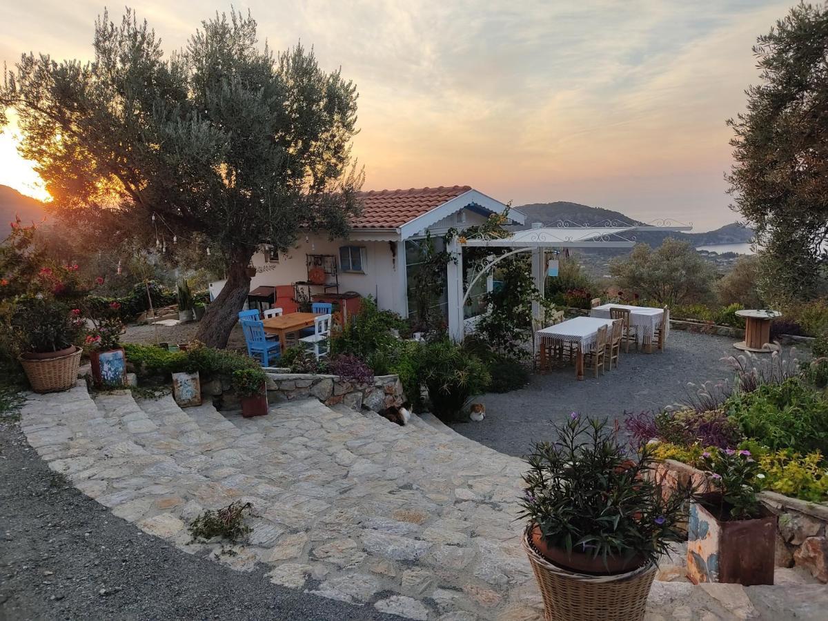 Mavi Kelebek Datça Exterior foto