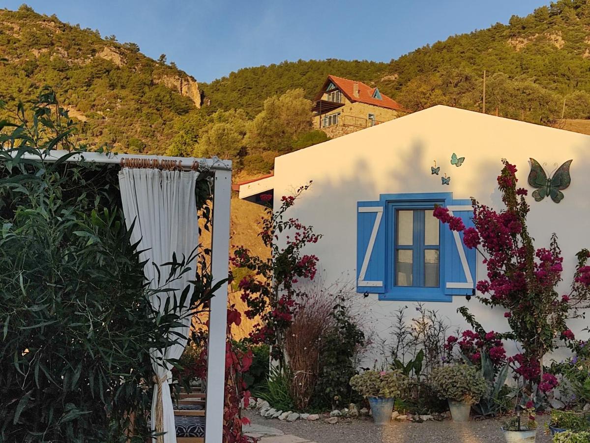 Hotel Mavi Kelebek Datça Exterior foto
