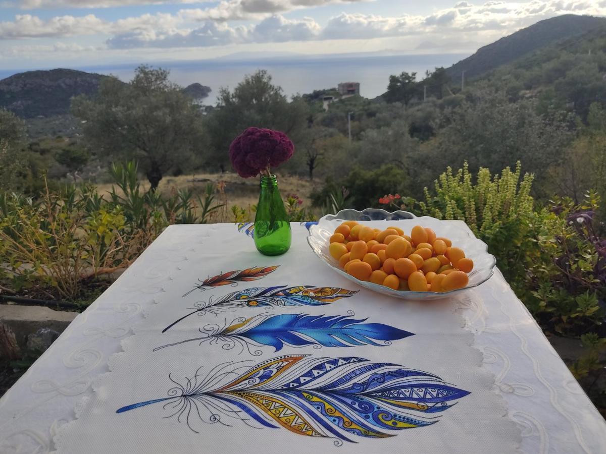 Mavi Kelebek Datça Exterior foto