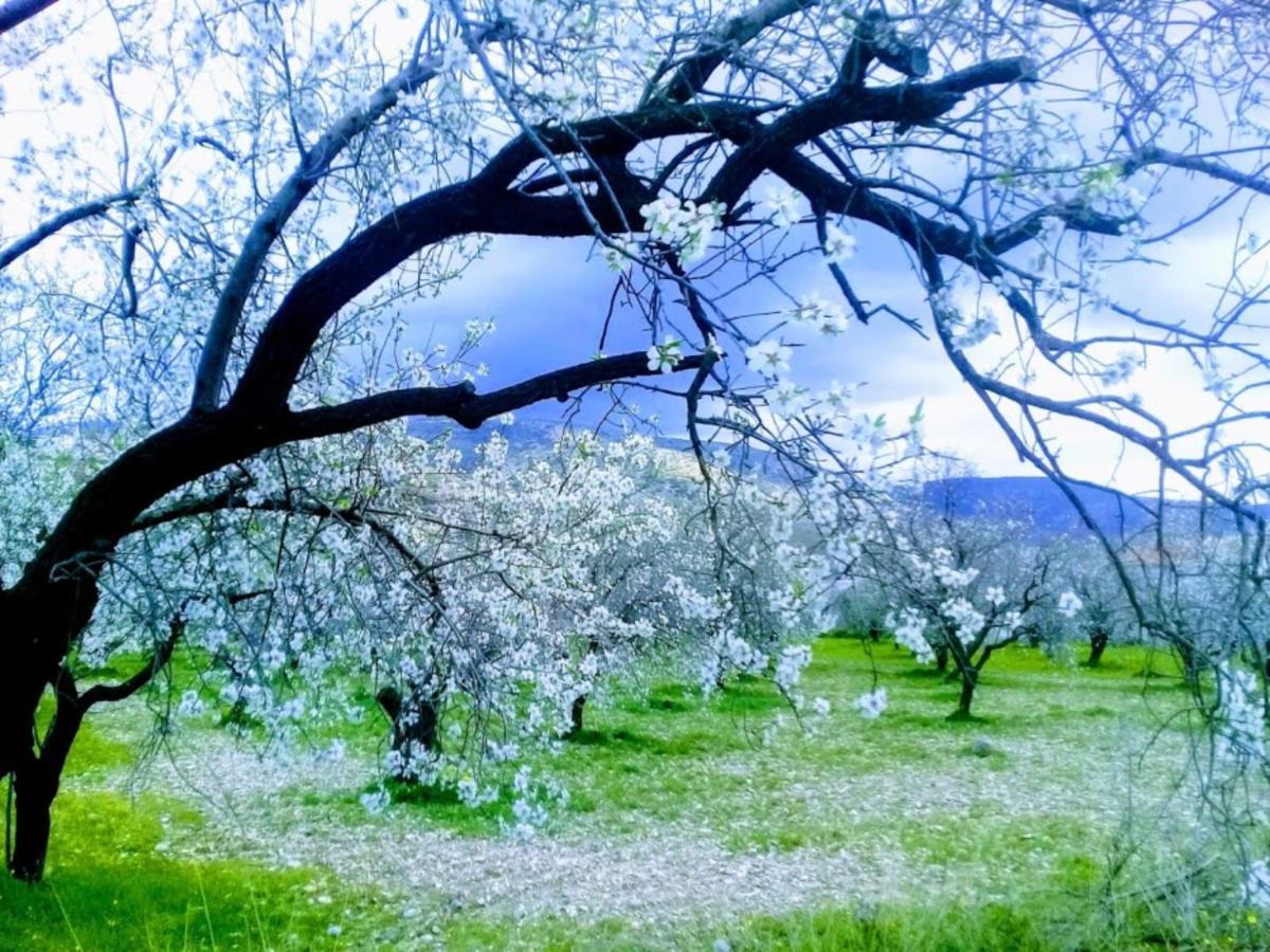 Mavi Kelebek Datça Exterior foto