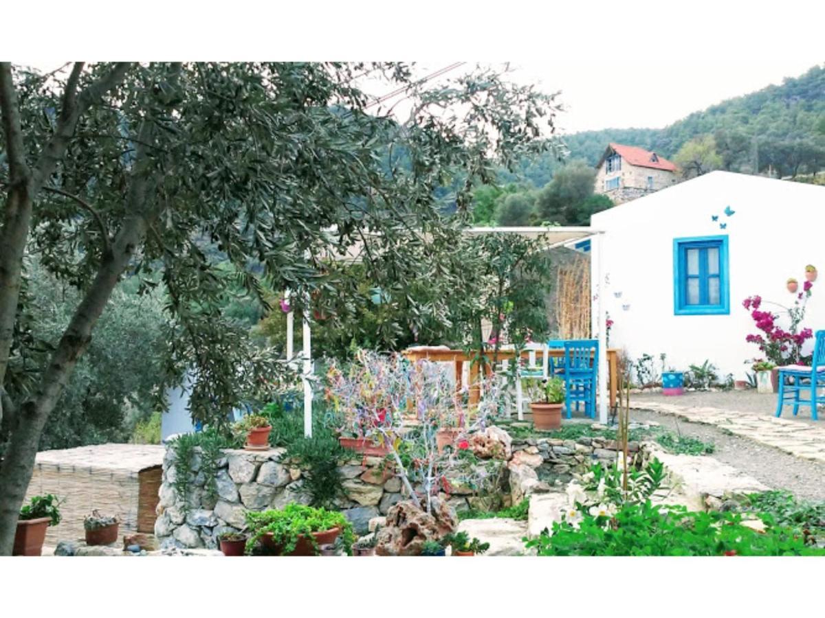 Mavi Kelebek Datça Exterior foto