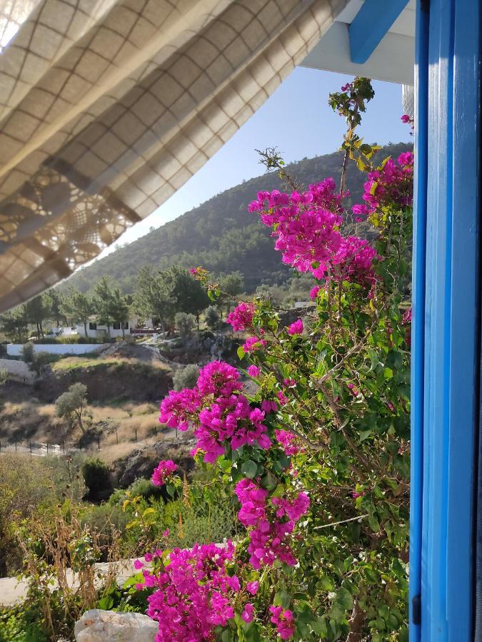 Mavi Kelebek Datça Exterior foto